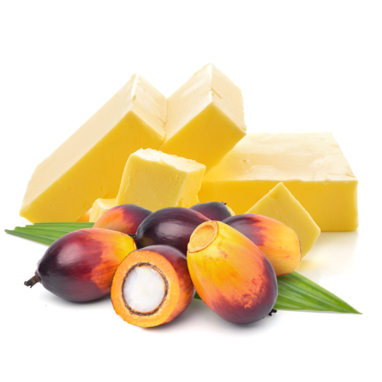 Hydrogenated Palm Kernel Oil